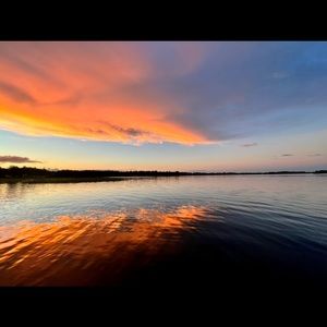 Meet your Posher, Scarlett